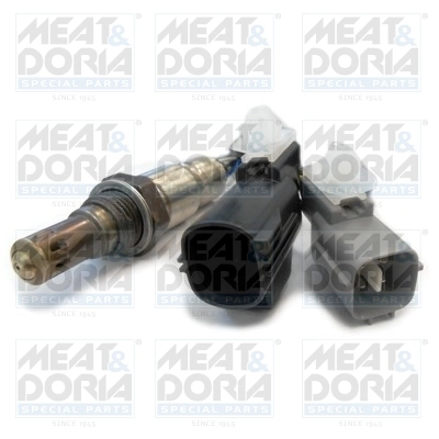 Oxygen Sensor